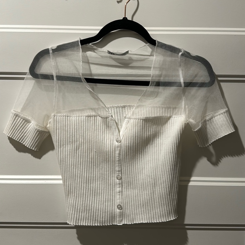 Zara Mesh Top
